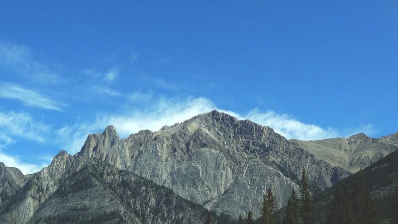 17在线观看免费高清电视剧狂飙高清画质特色